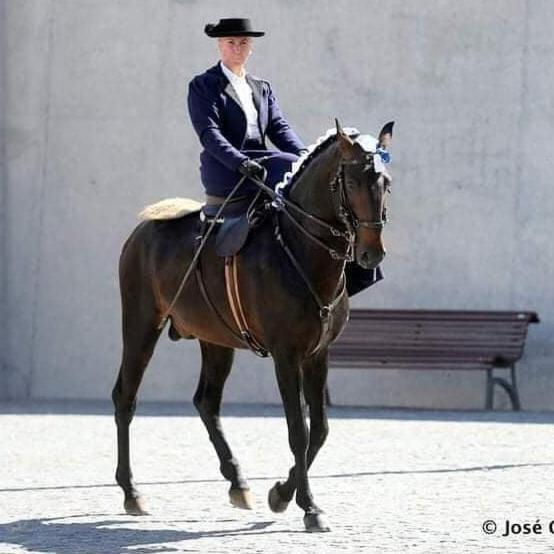 Horse Riding Country House Вила-Франка-де-Шира Экстерьер фото
