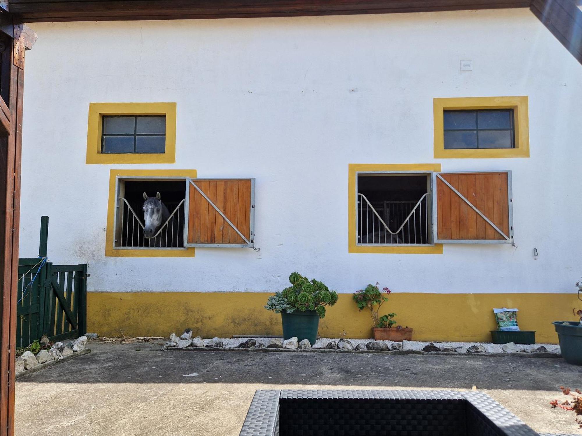 Horse Riding Country House Вила-Франка-де-Шира Экстерьер фото